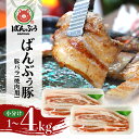 【ふるさと納税】ブランド豚「ばんぶぅ」小分け 豚バラ 焼肉用 選べる 1kg 2kg 4kg 冷凍便 1キロ 豚肉 豚バラ肉 豚バラスライス肉 焼き肉用 やき肉用 やきにく用 ヤキニク用 薄切り肉 うす切り肉 ぶた肉 ポーク ブタ肉 国産 茨城県産 ギフト プレゼント お祝い