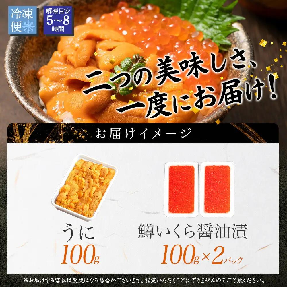 雲丹 100g 鱒いくら醤油漬け 100g×2個 うに ウニ チリ産 冷凍 いくら イクラ ます マス いくら醤油 お取り寄せ 魚卵 海鮮丼 二色丼 海鮮 寿司 送料無料 北海道 弟子屈町 3619
