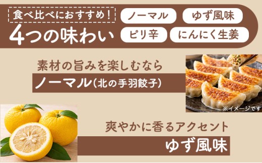 北海道産鶏肉を使った手羽餃子【北の手羽ぎょうざ】15個セット(5個×3袋)≪配送地域限定≫【53101】