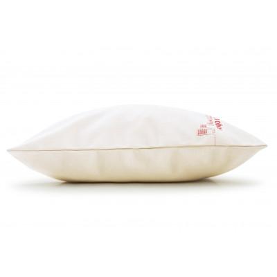 ふるさと納税 安城市 テンピュール(R) オリジナル クッション 安城市限定【73014497】 |  | 03