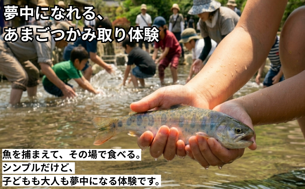 【人気】あまごつかみどり体験チケット　1名様分〈調理込み・おにぎり付き〉家族みんなで笑顔になれる清流体験 子ども主役の夏休みアクティビティ 魚つかみ取り 兵庫県丹波市