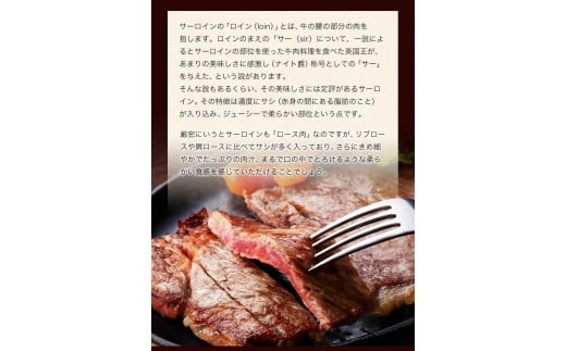 あか牛（褐毛和牛） サーロイン ステーキ 500g 《2026年1月中旬-3月末頃出荷》 牛肉 冷凍---hkw_faksir_bc13_r7_19000_500g---