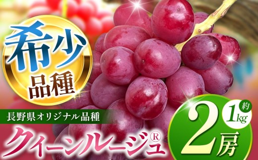 
            【2026年先行予約】 クイーンルージュ® 2房 約1kg【9月下旬以降発送予定】 | 果物 くだもの フルーツ 葡萄 ぶどう ブドウ 長野県 塩尻市
          