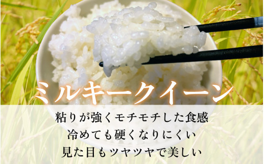 【令和7年産】【最高級 特別栽培米】福井県 小浜市産 ミルキークイーン 10kg / 米 厳選 白米 つやつや もっちり 冷めても美味しい 小浜市 / 今富の宝 [BFCI004]