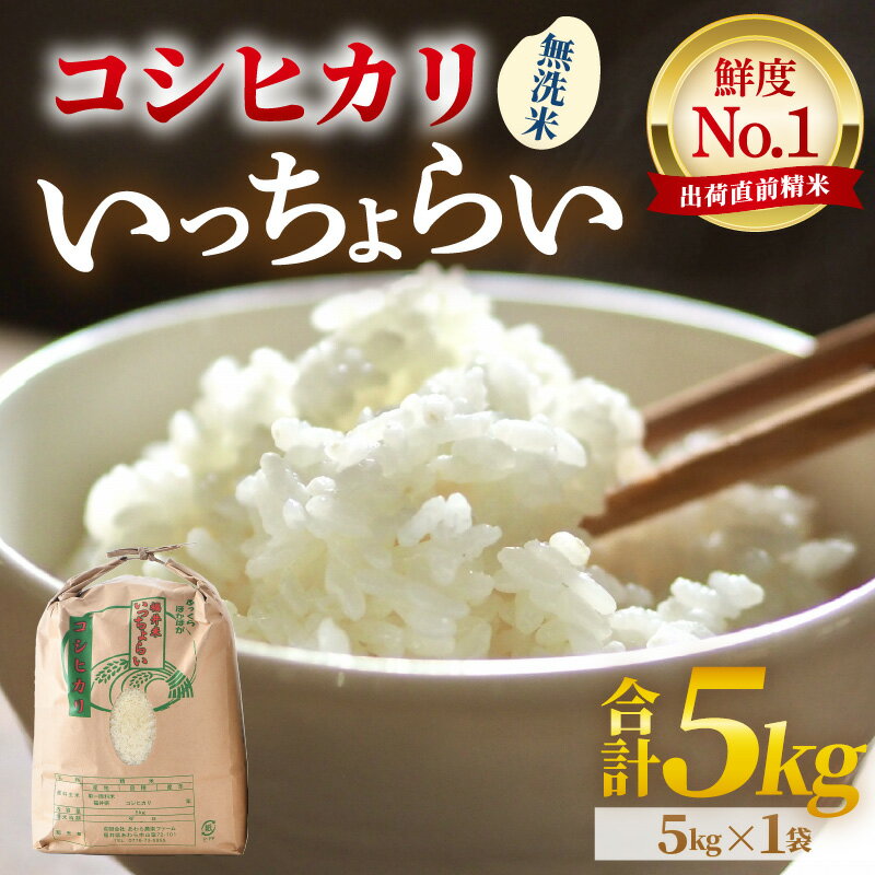 【ふるさと納税】【令和7年産・新米】米 5kg 無洗米【一等米】いっちょらい 無洗米 5kg ／ お米 5キロ 福井県産 ブランド米 コシヒカリ ご飯 白米 新鮮 大賞 受賞