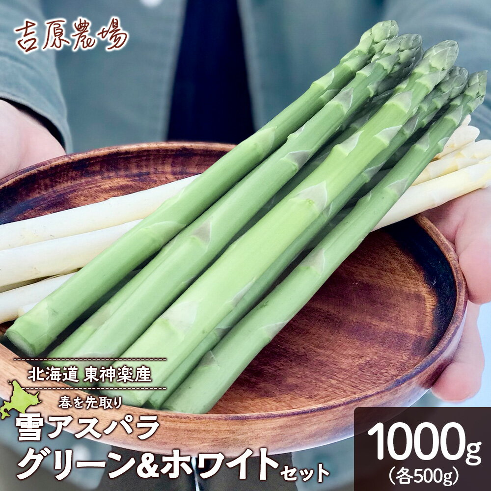 【ふるさと納税】贅沢に春を先取り 雪アスパラ【グリーン&ホワイト】食べ比べセット (各約500g・計1000g)【北海道東神楽町】野菜 アスパラ アスパラガス ホワイトアスパラ グリーンアスパラ アスパラホワイト 白 アスパラ 雪アスパラ ふるさと納税 北海道 東神楽