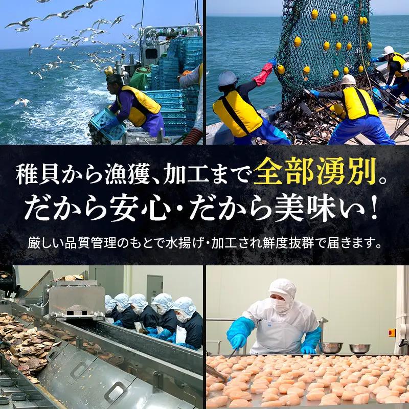 最短当日発送 湧別沖 ほたて貝柱 300g×1パック ほたて