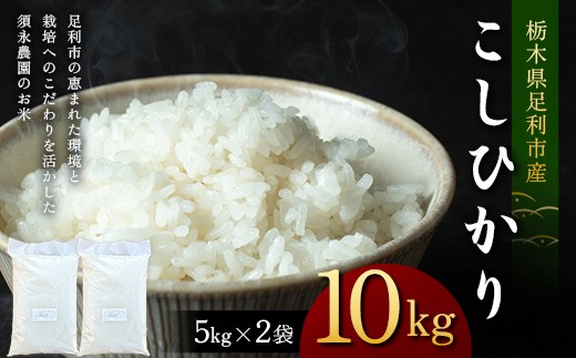 
                  令和7年産 栃木県足利市産 コシヒカリ10kg〈5kg×2袋〉 精米 白米 米 こめ ごはん 食品 栃木県 足利市 F7Z-1972
                