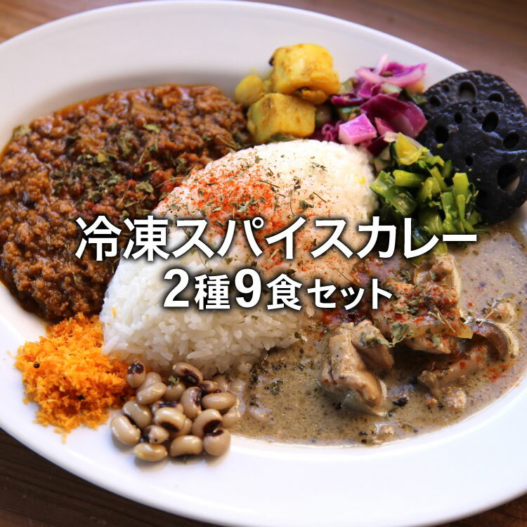 【ふるさと納税】冷凍 スパイスカレー 2種 計9食セット [カレーライフ 長崎県 雲仙市 item2248]