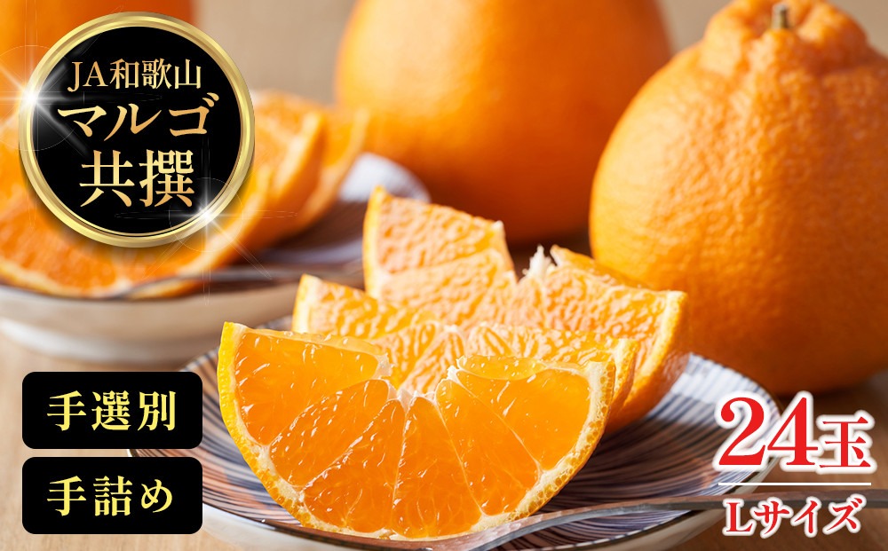 JA和歌山 マルゴ共撰 デコポン 24玉入り Lサイズ 5kg箱   CM02