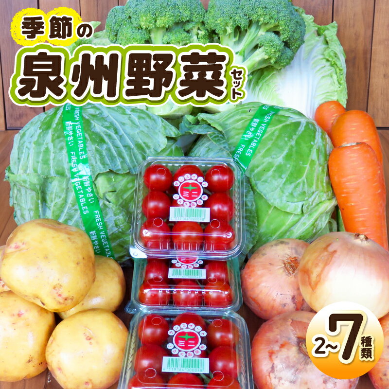 【ふるさと納税】季節の野菜 セット 2〜7種類 国産 新鮮 ミニトマト / キャベツ / 白菜 / サツマイモ / 玉ねぎ / ブロッコリー / 里芋 / じゃがいも 内容 おまかせ 詰め合わせ 旬の味覚 常備野菜 自然の旨み 食品 お取り寄せ 大阪府 泉佐野市 送料無料