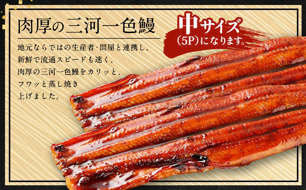 中(5P) 三河一色 鰻蒲焼き 3尾 (360g以上) (肝焼き付き)  うなぎ 鰻 蒲焼 丑の日 土用の丑の日