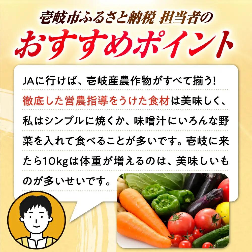 【全3回定期便】旬の野菜セット 7品 [JBO044] 野菜 詰め合わせ