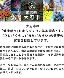 エアウィーヴ 座布団 ネイビー 大・銘仙版 エアウィーヴ