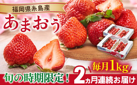 【先行予約】【全2回定期便】糸島産【春】 あまおう 4パック 計1kg 【2026年2月より順次発送】 糸島市 / 南国フルーツ株式会社 [AIK026]