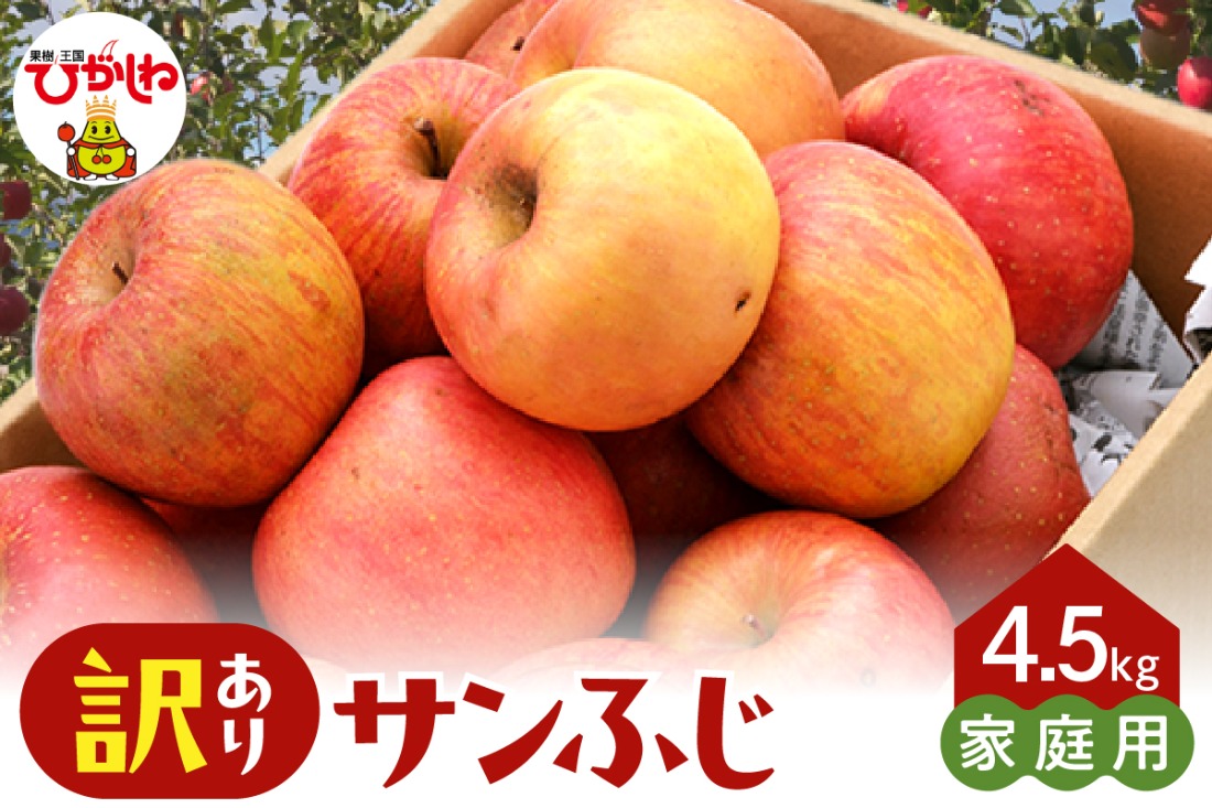 【2026年産】※訳あり※ サンふじ満杯詰(約4.5kg) 山形県 東根市 東根農産センター提供 hi027-203-r8