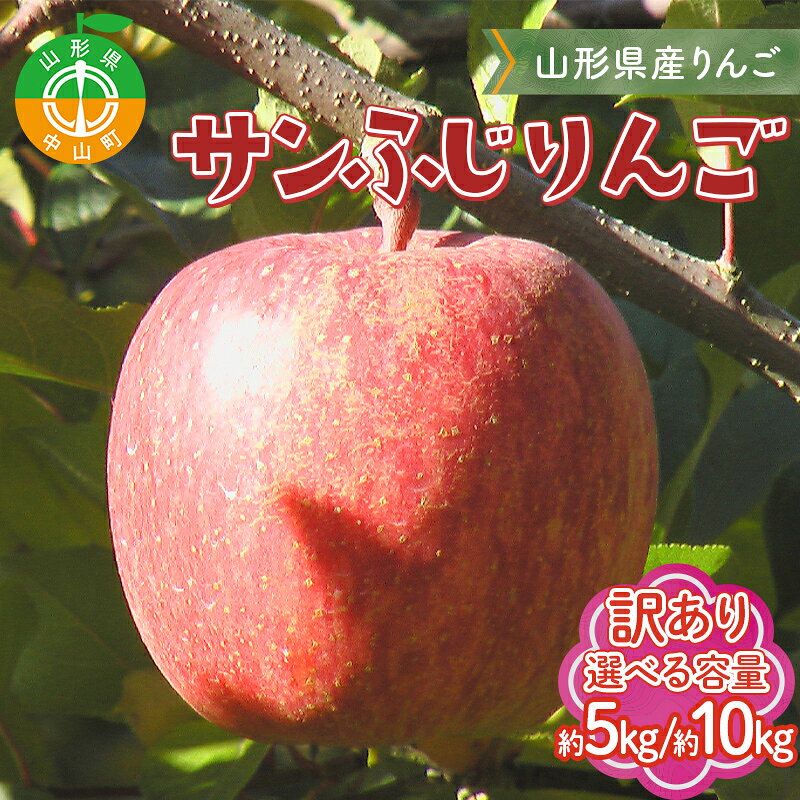【ふるさと納税】＼選べる容量／《先行予約》【訳あり】【家庭用】山形県産サンふじりんご 約5kg 約10kg 《2026年12月上旬頃より順次発送予定》 バラ入り りんご リンゴ 林檎 デザート フルーツ 果物 くだもの 果実 食品 山形県産 中山町 F4A-0462var