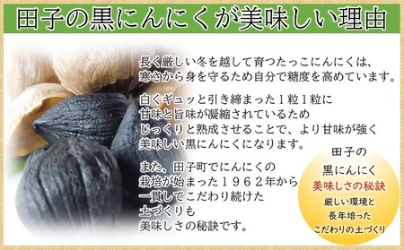 田子町産熟成黒にんにく 食べきりサイズ 100g×3袋