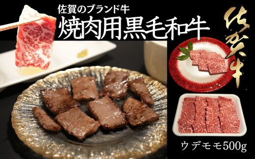 
【A4 A5ランク】佐賀牛 ウデ モモ 500g 焼肉用
