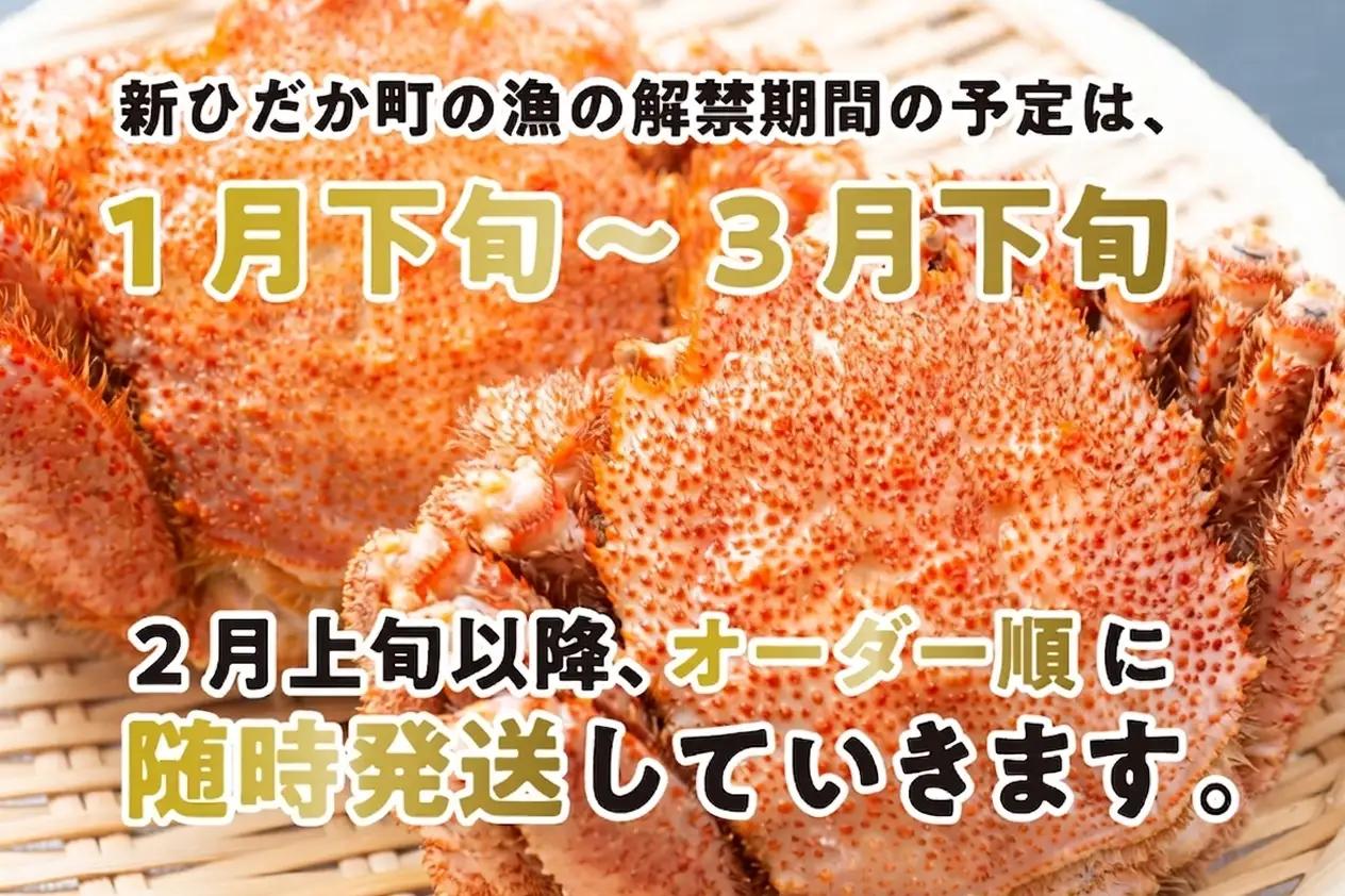 ＜ 2027年2月上旬より発送開始 ＞ 北海道産 浜ゆで 毛ガニ 2尾 計 600g 以上 冷蔵 毛蟹 毛がに けがに かに 蟹 カニ かに味噌 カニ味噌 ＜ 予約受付 ＞