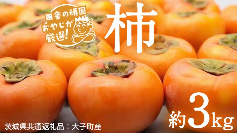 
                  柿 品種おまかせ 約3kg【2026年10月より発送開始】（茨城県共通返礼品 [柿]：大子町産） 柿 かき カキ 果物 フルーツ 茨城県産
                