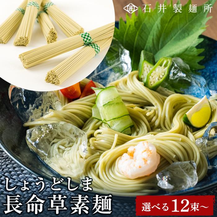 【ふるさと納税】【石井製麺所】しょうどしま長命草そうめん 12束 ～ 36束 | 小豆島 そうめん そーめん 麺 めん 麺類 野菜 やさい 健康 お取り寄せ グルメ 人気 おすすめ 香川県
