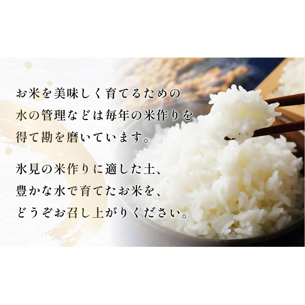 【6回定期便】富山県産 コシヒカリ 5kg  富山県 氷見市 米 コシヒカリ