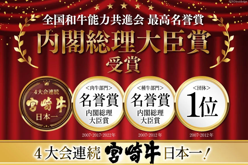 宮崎牛 ロース ステーキ 2枚 計500g [ミヤチク 宮崎県 美郷町 31au0093] 牛肉 肉 冷凍 宮崎県産 国産 霜降り サシ BBQ バーベキュー
