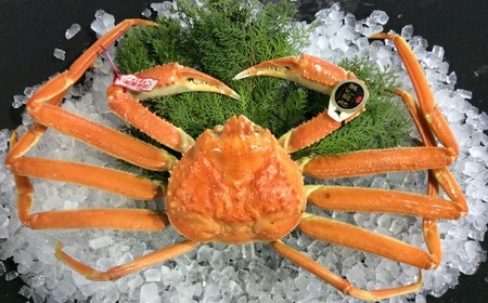 166-2．【魚倉】五輝星ボイル松葉ガニ（特々大1.2kg）数量限定品