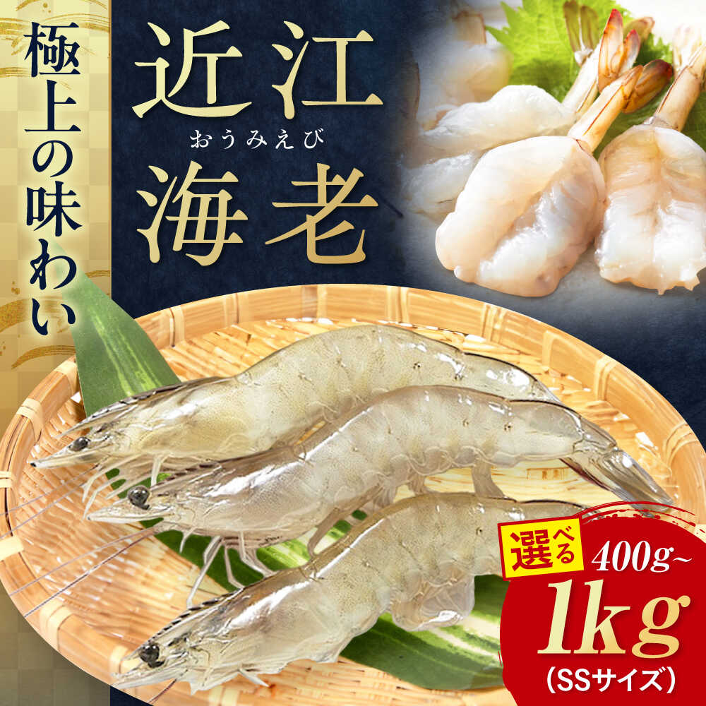 【ふるさと納税】近江海老 SSサイズ 400g～1kg 滋賀県長浜市/ワボウ電子株式会社[AQBA004] エビ 海老 えび 海鮮 魚介類 魚貝類 魚介 甲殻類 下処理不要 冷凍 業務用 小分け 国産 お弁当 刺身 刺し身 エビフライ エビチリ エビマヨ バーベキュー BBQ