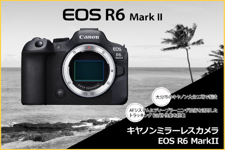 R14152 キヤノンミラーレスカメラ EOS R6 Mark Ⅱ・RF24-105 L IS USM レンズキット　フルサイズミラーレスカメラ　デジタル一眼ノンレフレックスAF・AEカメラ キヤノン