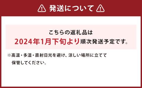 【2024年1月下旬より発送開始】白ネギ 2Lサイズ 20本