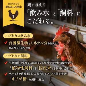 【6回定期便】ビタミンＥ豊富な「碧空たまご」50個入り Lサイズ タマゴ 卵 玉子 たまご F23R-935