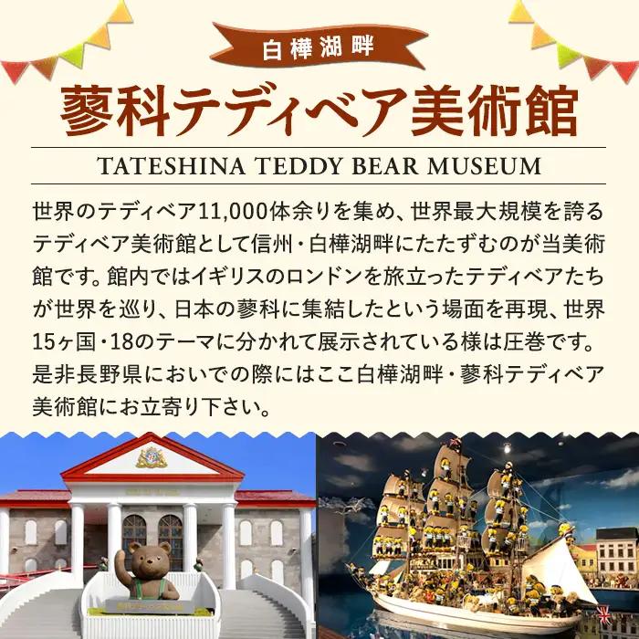蓼科テディベア美術館　ペアご招待券＆グッティー館長ぬいぐるみセット