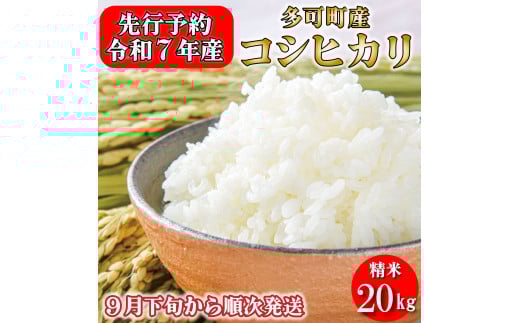 新米予約 令和７年産 お米 20kg 5kg×4 コシヒカリ 精米 兵庫県多可町産 [1221]