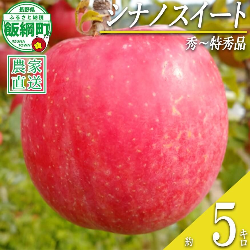 【ふるさと納税】 りんご シナノスイート 5kg 秀〜特秀 関果樹園もりんご 沖縄県への配送不可 〔 果物 フルーツ 林檎 長野 予約 農家直送 贈答用 5キロ 18000円 〕【令和8年度収穫分】 発送：2026年10月上旬〜