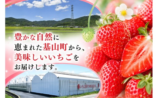 【2027年1月発送】【先行予約】【農場直送！】紅ほっぺ(約280g×4P)【ふるさと納税 佐賀県 基山町産 げんき農場 苺 ブランド苺 イチゴ いちご フルーツ 果物 くだもの 美味しい おいしい 
