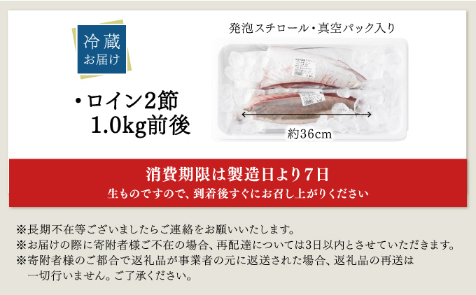 KU281-2601 <2026年1月発送分>活じめ!黒瀬ぶりの生鮮ブリロイン2節(1.0kg前後)