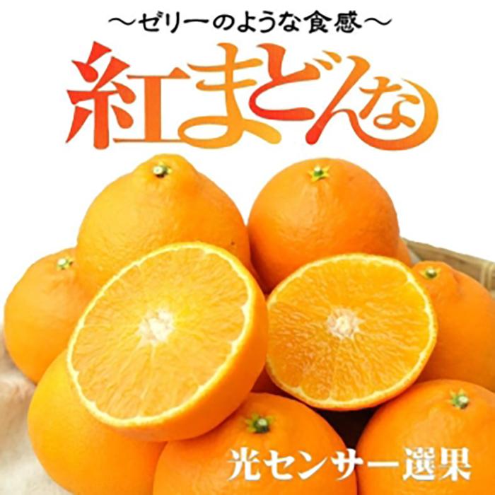 【先行予約】【2025年11月下旬頃順次発送】紅まどんな 約3kg（8~15玉）4L〜Lサイズ 紅まどんな 愛媛 みかん 紅マドンナ 紅まどんな 蜜柑 柑橘 果物 松山市の紅まどんな 贈答 愛媛のみかん くだもの フルーツ 愛媛県 松山市 JAえひめ中央の紅まどんな 愛媛が誇る高級柑橘『紅まどんな』 愛媛の紅まどんな