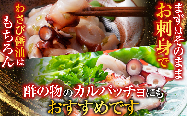 【北海道根室産】たこ足800g前後～1.4kg前後×1本 A-30050