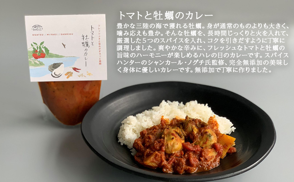 カレー パスタソース ギフトセット ココナッツミルクと牡蠣のカレー トマトと牡蠣のカレー 水蛸とトマトのラグーソース 無添加 レトルトカレー レトルト カレーライス パスタ スパイス 牡蠣 ココナッツ