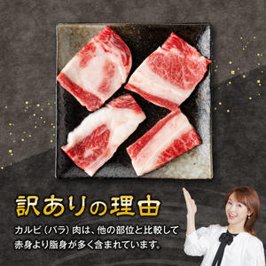 【令和7年11月発送】【訳あり】 宮崎牛 カルビ（ バラ ） 焼肉 500g 【 肉 牛肉 焼肉 BBQ 焼き肉 焼くだけ おかず 簡単調理 】[E11137r711] 【令和7年11月発送】