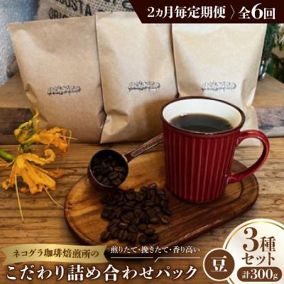 ふるさと納税 高石市 【2ヵ月毎定期便】《豆3種計300g》ネコグラ珈琲焙煎所の煎りたて挽きたてコーヒーセット全6回