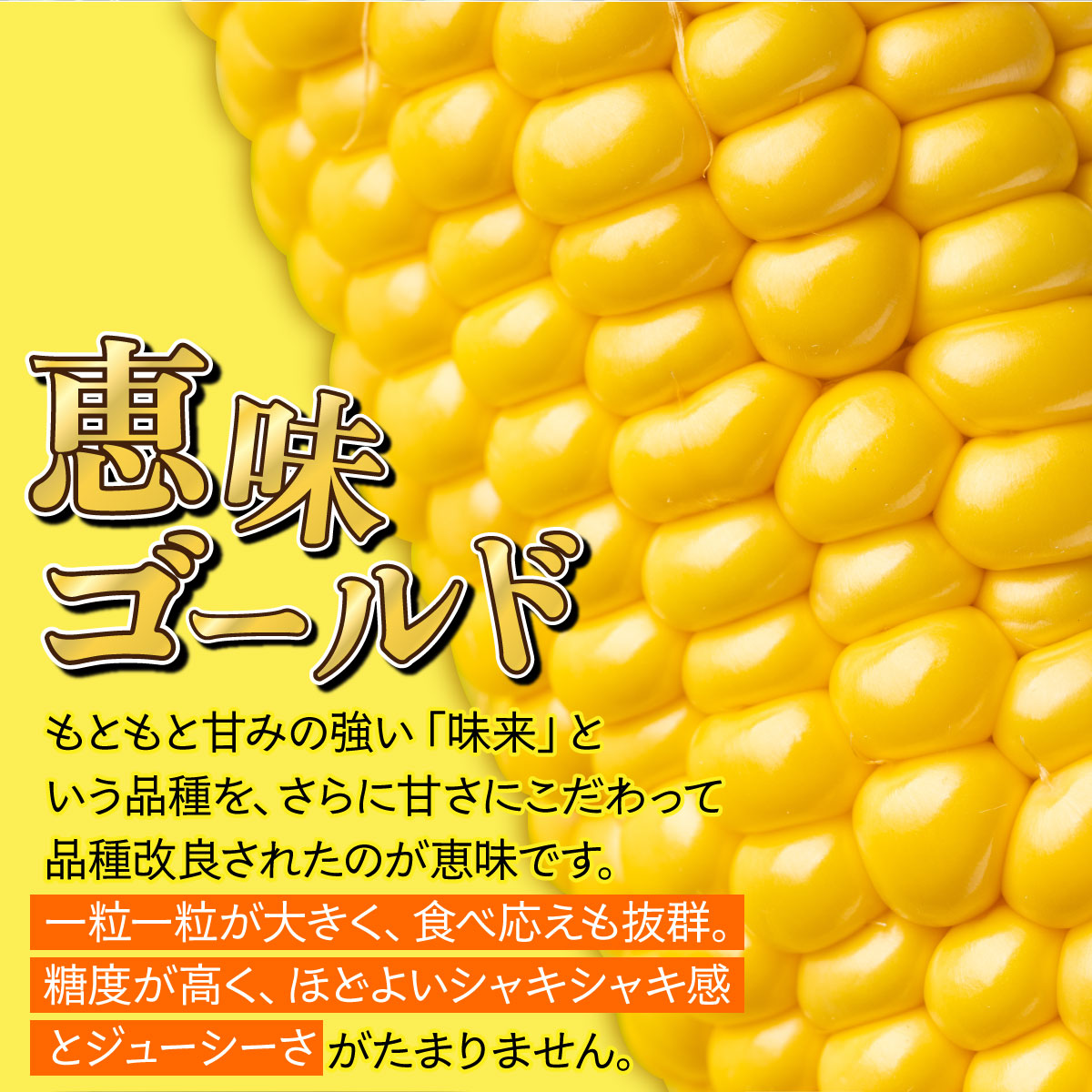 やまけんや とうもろこし 恵味ゴールド 6本 スイートコーン コーン 甘い サラダ スープ 生でも美味しい 産地直送 BBQ とうきび 国産 人気 バーベキュー 焼きとうもろこし 取り寄せ 糖度 北海