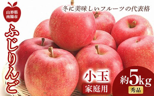 【令和6年産先行予約】〈家庭用〉 小玉 ふじりんご 約5kg (20～25玉 秀品) 《令和6年11月中旬～12月下旬発送》 『フードシステムズ』山形県 南陽市 [1392-R6]