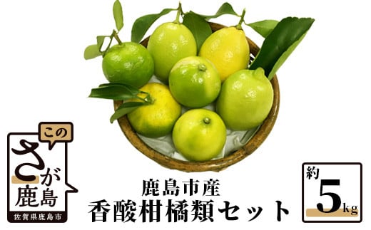 B-366 香酸柑橘類詰め合わせ 約５ｋｇ（リスボンレモン・キノス・げんこう・ライム）