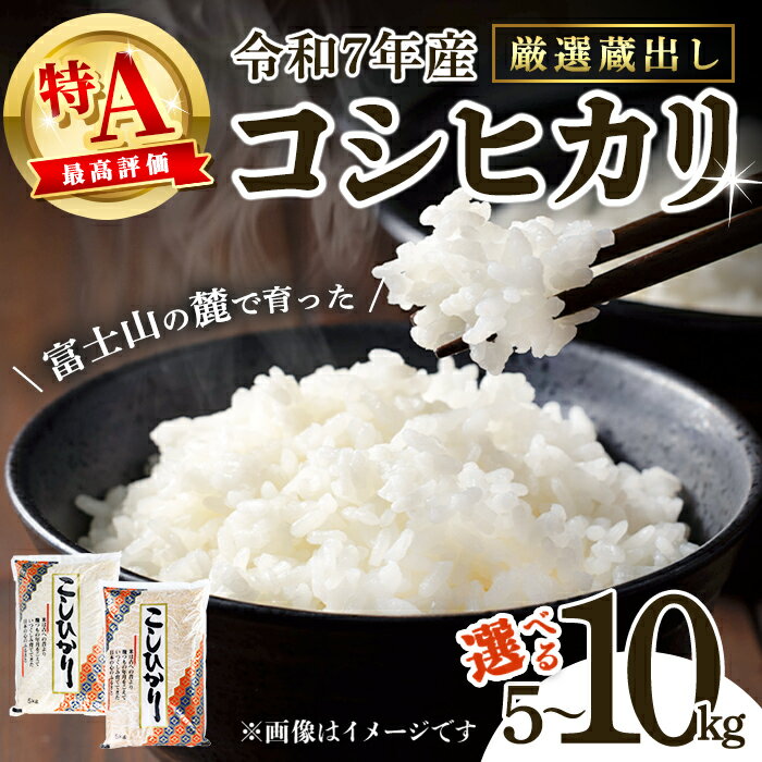 【ふるさと納税】【 7営業日 以内 発送 10kg 19000円 】高評価 ★4.86 米 令和7年産 コシヒカリ 5kg or 10kg ＜ 厳選 特A 蔵出し 限定品 ＞ 米 お米 令和7年産 厳選 特A コシヒカリ 白米 静岡県産 国産 すぐ 届く スピード発送