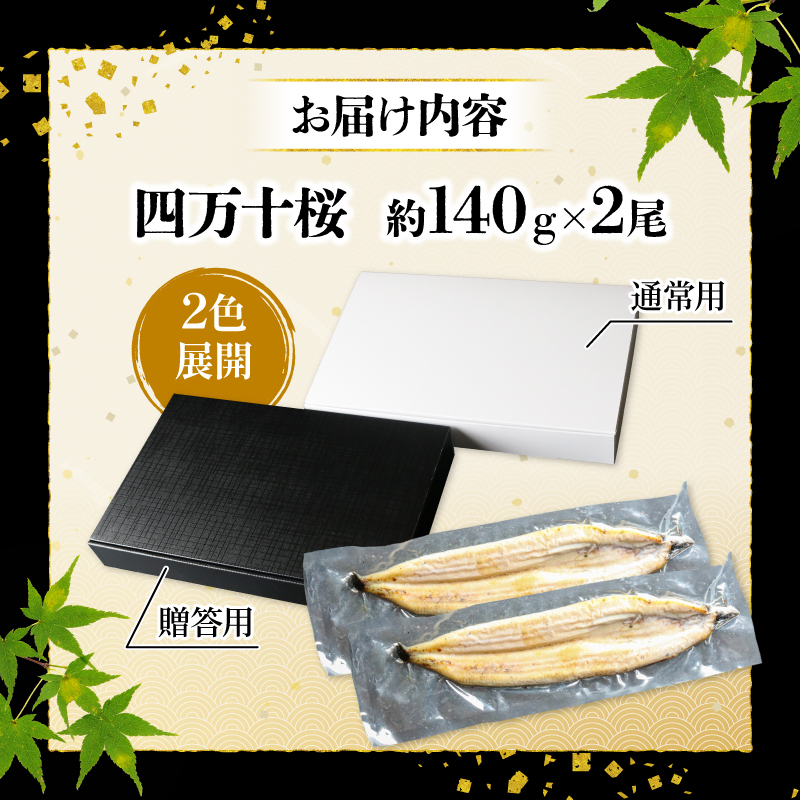 【通常用】【4回定期便】極上国産うなぎ四万十桜 白焼き約140g×2尾 | うなぎ 鰻 ウナギ 白焼き 定期便 国産 四万十鰻 ウナギ 蒲焼き 調理済み タレ付き 頒布会 ギフト（お歳暮/お正月）高級