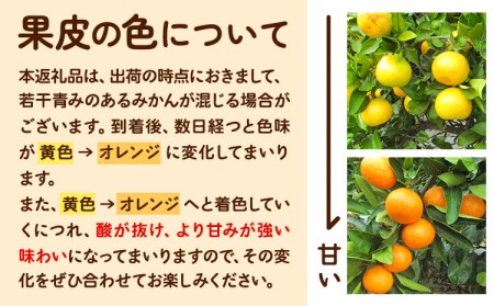 ゆら早生みかん 5kg　みかん