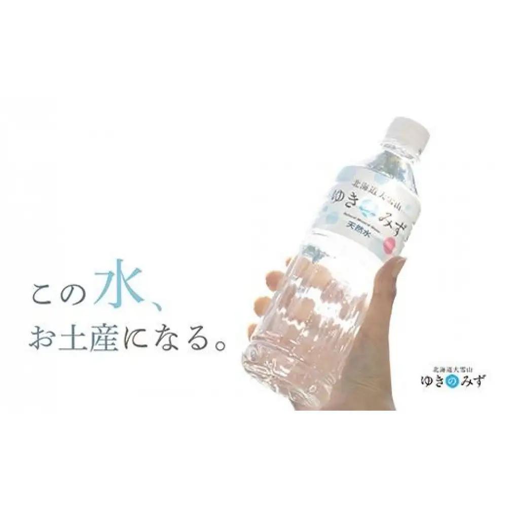 【ふるなびWEEK対象】北海道大雪山ゆきのみず（550ml×24本入り）　2箱|  水 水
